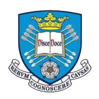  University of Sheffield